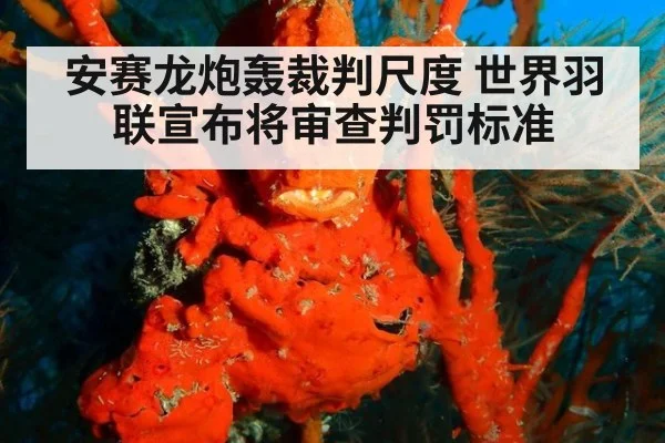 安赛龙炮轰裁判尺度 世界羽联宣布将审查判罚标准